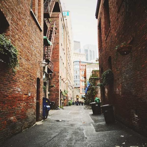 Тестовое видео в PostCard